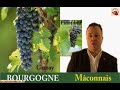 les plus grands rouges c�toient les plus grands blancs. beaucoup de nom font r�ver les amateurs � leurs lectures sur les cartes des vins. c'est le royaume du chardonnay et du pinot noir qui ont trouv�s dans cette r�gion un paradis in�galable.
vous pouvez consulter l'int�gralit� du cours de jean-michel deluc et voir une vid�o de meilleure qualit� sur le site web de l'acad�mie du vin.
http://academieduvin.fr/cours_vins_apprendre_f02_vin_bourgogne.php