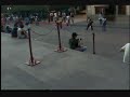 Cronicas con Vane- El gua gua
