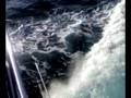 videos de Vigo Delfini!!!! Parte 1