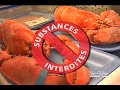 Le compostage - Les r�sidus de jardin