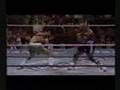 famous muslim boxers