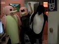 Yasuri Yamileth Pinguinos