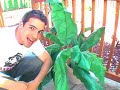 Eddie's CRAP ATTACK! Ep. 2