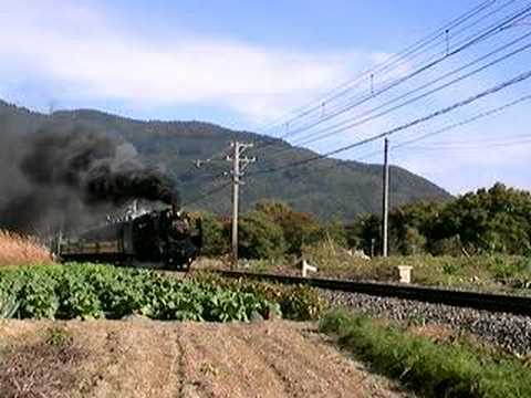 C58363　パレオエクスプレス　秩父鉄道　（樋口-野上）