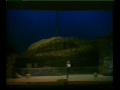 LA GIOCONDA - CIELO E MAR - NUNZIO TODISCO