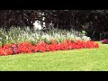 ROYAL BOTANIC GARDENS SYDNEY AUSTRALIA