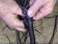 whip making & plaiting.