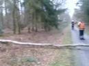 Stormschade Veenwal Hattem