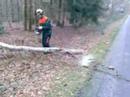 Stormschade Veenwal Hattem