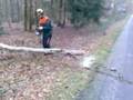 Stormschade Veenwal Hattem