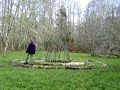 Wetland Mandala