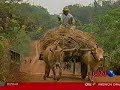 bernard krisher and cambodia
