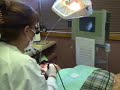 Dental Hygienist Performing Periodontal Endoscopy