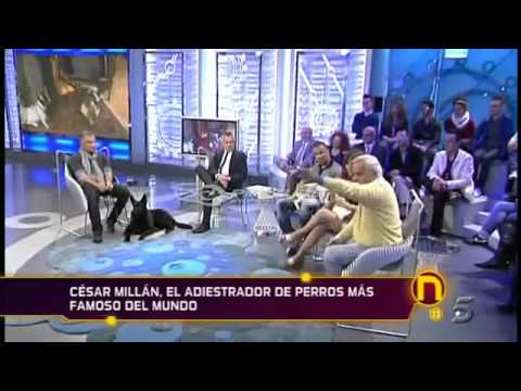 Imagen de previsualización de YouTube