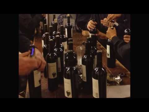 LARK - The Regis Jesuit Dinner Auction