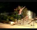 Birdhouse Edit Entry Birdhouse Edit Entry