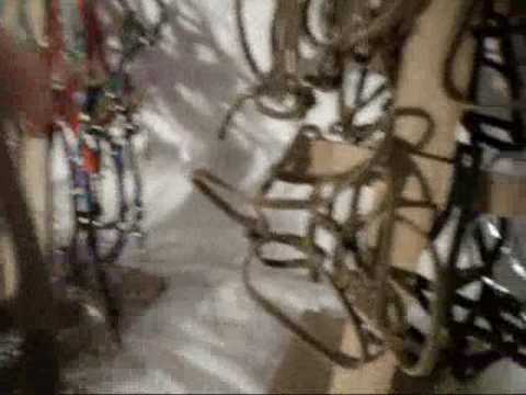 how to fit side reins for lunging