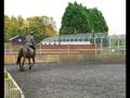 My-riding-Lesson-two