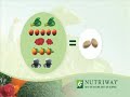 Nutriway training - How supplement work in our body (2/2)