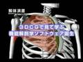 『解体演書』3DCG解剖ソフト