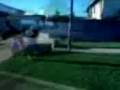 videos de Super migue en accion