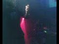 amy-can-flyy.html