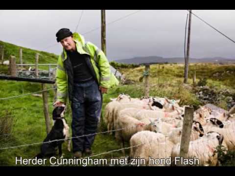 YouTube voorvertoningsafbeelding