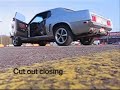 Mustang - QTec Cut Outs Mustang - QTec Cut Outs