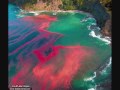 miracle-,dieu-,nature-