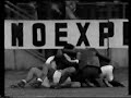 Safet Susic - Golovi