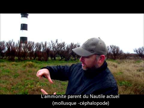 Image de prévisualisation YouTube