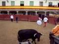 toreros