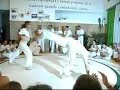 batizado capoeira triarte maggo 2008. corde verdi. mestre alemao