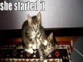 Icanhascheezburger.com pix