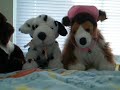 I Made My Own Webkinz Clothing