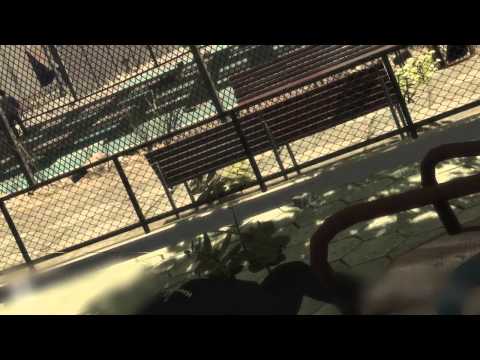GZ Video
