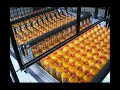 OCME - Robot palletising for loose bottles OCME - Robot palletising for loose bottles