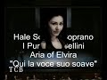 Hale Soner - Elvira's Aria Qui la voce suo soave- I Puritani-Belliini