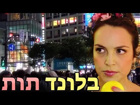 סם לביא-פיילוט לסידרת רשת עלילתית סם לביא-פיילוט לסידרת רשת עלילתית