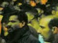 Bibi Zainab (AS)