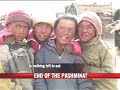 Pashmina goats dying of starvation Pashmina goats dying of starvation