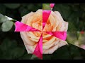 Waltz of the Flowers