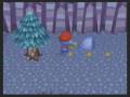 videos de Animal Crossing City Folk Red Rock