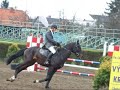 5.dubna 2008 se v Opavě-Kateřinkách konalo 1.kolo Moravského šampionátu mladých koní (MŠMK). Video je ze zahajovacího tréninku do 100cm a z parkuru Z, prot 4 leté koně.Ve 