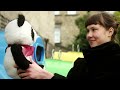 Panda sugėdintoja grįžta