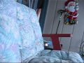 ding dong ditching