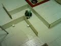 Microbot - Laberinto