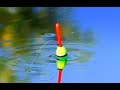 Видео - Рыбалка на карася + закидушки (донки) на сазана. Эксперимент: какой жмых лучше?