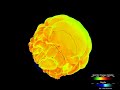 White Dwarf Deflagration, Burning Front White Dwarf Deflagration, Burning Front