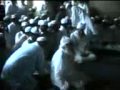 Darbar Pir Sial-SIAL SHARIF